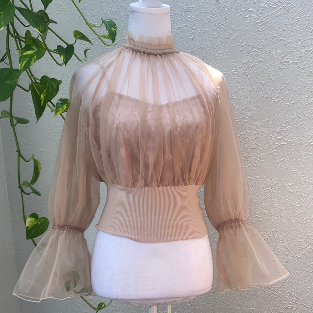 Lily Brown Mesh Elegant Sheer Tan Blouse, Light Brown Blouse,Strapless Blouse - Picture 3 of 12